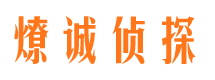 杂多市调查公司